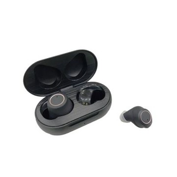 耳寶 Mimitakara 隱密耳內型高效降噪輔聽器 集音器 6SC2 黑色 充電式 音量調節 降噪功能