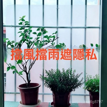 陽臺防盜網遮擋闆 陽臺擋闆 窗戶防護雨水 PP磨砂半透明闆 隔離闆 J8FI