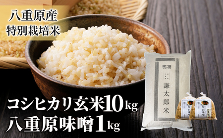 八重原産特別栽培米（減農薬・減化学肥料栽培）コシヒカリ（玄米）１０kgと信州味噌「八重原味噌」１kgのセット