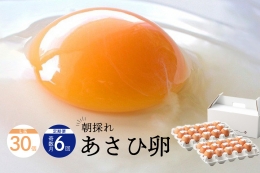 卵かけごはん専用あさひ卵Ｌ玉サイズ×30個(25個 破損保証5個)