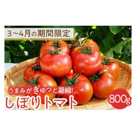 ふるさと納税 3〜4月の期間限定　うまみがぎゅっと凝縮！しぼりトマト 800g※着日指定不可※2024年3月上旬〜4月中旬頃に順次発送予定 栃木県芳賀町