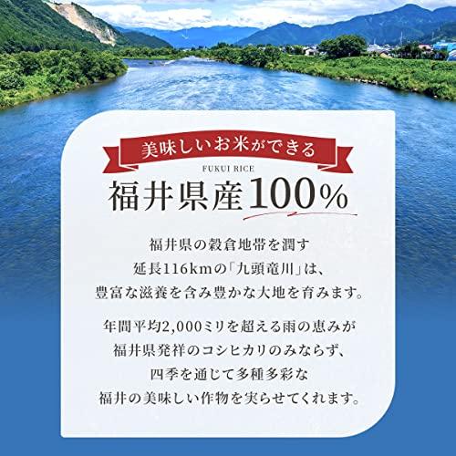 新米 福井県産福井米 白米 令和5年産 (20kg)