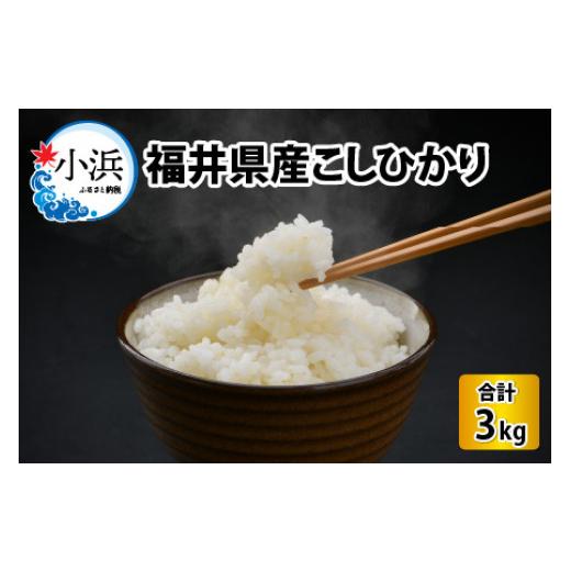 ふるさと納税 福井県 小浜市 福井県産こしひかり　3kg（紙袋入り）