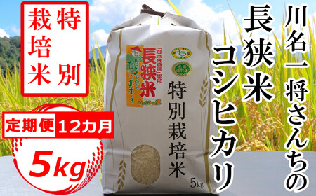 川名一将さんちの長狭米 特別栽培米コシヒカリ5kg×12ヶ月 [0120-0004]