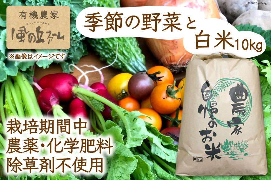 有機農家の季節の野菜と白米10kgのセット   風の丘ファーム   埼玉県 小川町 [020] 野菜 やさい 米 お米 こめ コメ 精米 白米 セット 詰め合わせ