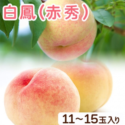 和歌山県紀の川市産 白鳳(赤秀) 11-15玉入り 桃 モモ もも 株式会社松源《2024年6月下旬-7月中旬頃より順次出荷》和歌山県 紀の川市