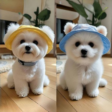 🔥優選好物🔥狗狗帽子 寵物夏季薄款防曬帽子 比熊柯基柴犬中小型犬外出裝飾拍照 寵物帽子 狗狗裝飾帽子 貓咪帽子
