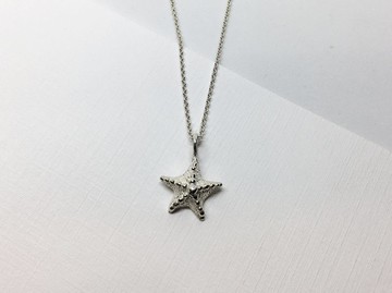 大海小世界。海星星項鍊。925純銀。sterling silver