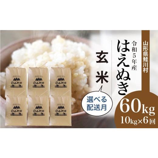 ＜令和5年産＞ 鮭川村産 はえぬき  60kg定期便 （10kg×6回発送）