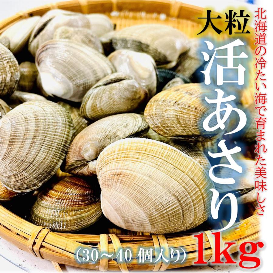 活あさり 1kg 北海道産 大粒 1個20〜30g 大粒あさり 国産 あさり 天然あさり アサリ  浅利 活貝