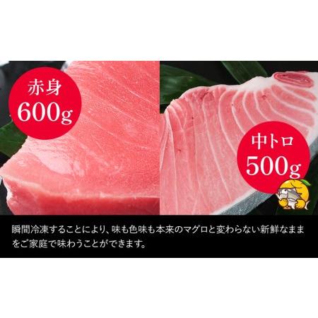 ふるさと納税 本まぐろ 中トロ 約500g・赤身 約600gセット 鮪 海鮮丼 刺し身 刺身 盛り合わせ 冷凍 魚の刺身 大分県産 九州産 津久見市 国産【.. 大分県津久見市