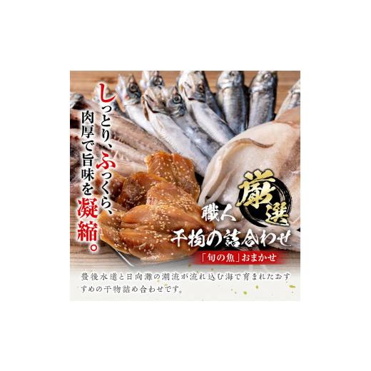 ふるさと納税 大分県 佐伯市 職人おまかせ干物セット (合計10品以上)  