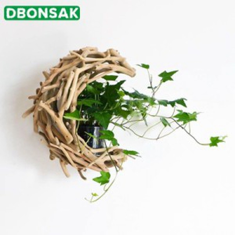 花瓶 おしゃれ 木製 ガラス 壁掛け 月 手作り 植物ポット フェアリーライト付属 植木鉢 装飾 インテリア 通販 Lineポイント最大4 0 Get Lineショッピング