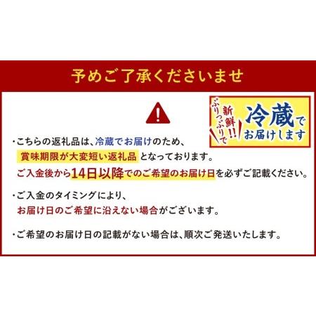 ふるさと納税 豪華とらふぐ三昧セット※白子付(刺身・鍋2〜3人前) ※備考欄に指定日をご入力ください 福岡県北九州市