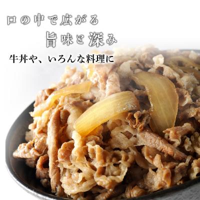 ふるさと納税 千歳市 ちとせ和牛「千美」切落し 500g＜肉の山本＞