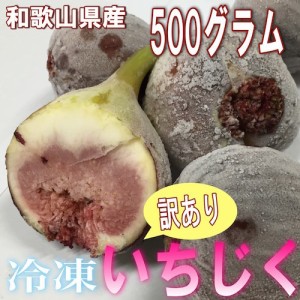 和歌山県産 訳あり 冷凍いちじく 500g ＊8月中旬頃から入荷あり次第発送開始