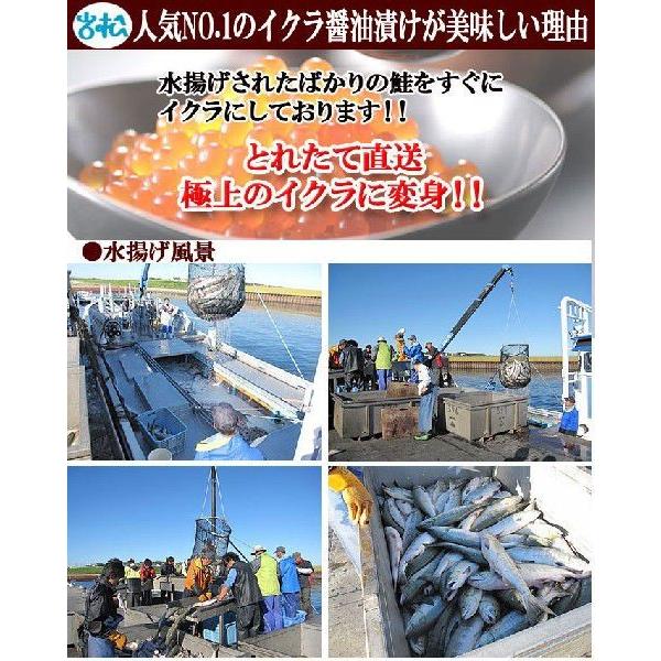 北海道産 いくら醤油漬け 200g×5パック 送料無料