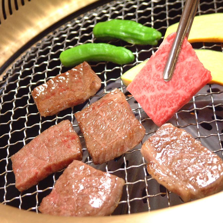 岐阜 ＪＡひだ 飛騨牛肩ロース焼肉用 500g 牛肉