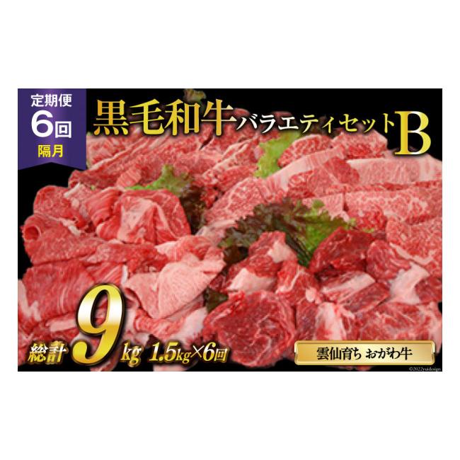 ふるさと納税 長崎県 雲仙市 定期便 6回 牛肉 雲仙育ち おがわ牛 バラエティーセットB 総計9kg(1.5kg×6回) 黒毛和牛 冷凍   焼肉おがわ   長崎県 雲仙市