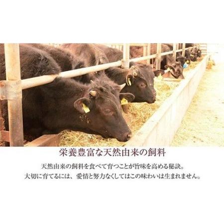 ふるさと納税 76-66新潟県産牛（長岡産） サーロイン1ポンドステーキ 新潟県長岡市