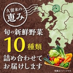 ふるさと納税 福岡県久留米市産　新鮮野菜セット_福岡県 久留米市産 新鮮野菜 セット 10品目 旬の野菜 詰め合わせ 新鮮 野菜 水菜 小松菜 ほう.. 福岡県久留米市