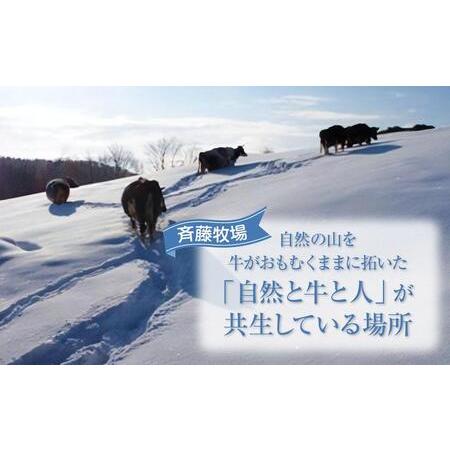 ふるさと納税 斉藤牧場の山地自然放牧牛乳（900ml×2本） 北海道旭川市