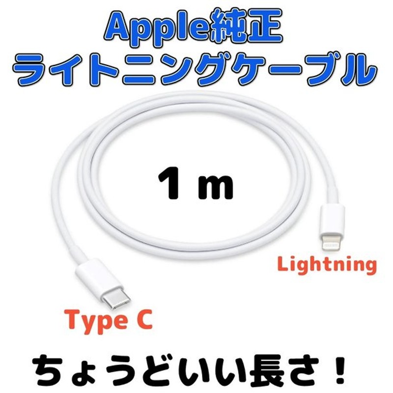 税込】 Type-Cライトニングケーブル用コンセント アダプター タイプC おすすめ 充電 急速充電 安い アップル データ通信 apple  adapter discoversvg.com