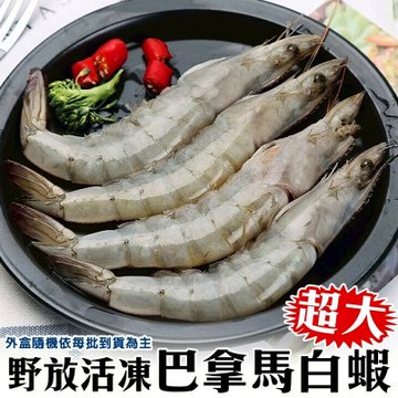 【鮮海漁村】野放活凍超大巴拿馬白蝦2盒(每盒20-30尾/約600g)