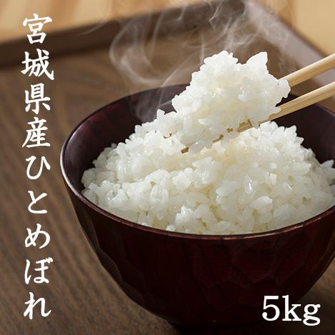 米 5kg 白米 玄米 ひとめぼれ 宮城県産 令和5年産 白米5kg×1袋 玄米5kg×1袋 送料無料