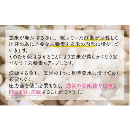 ふるさと納税 福井県 坂井市 無農薬コシヒカリ特選 真空パック5kg〜玄米以上の栄養価と白米に近い柔らかさ〜【2023…