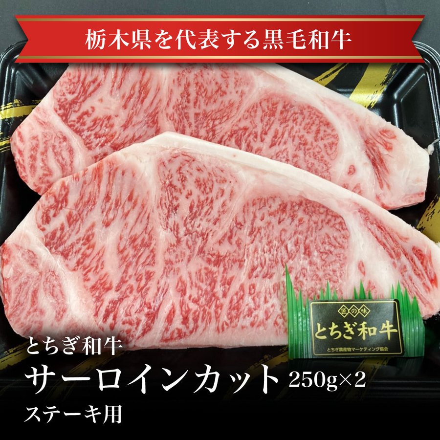 とちぎ和牛サーロインカット250ｇ×2 那須高原からの贈り物 贈答 ギフト お 取り寄せグルメ 父の日 母の日 お中元 お歳暮 お祝い