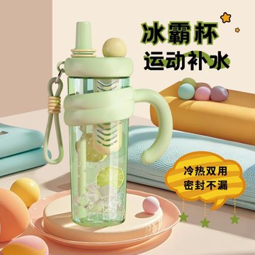 夏季輕奢高級感吸管耐高溫學生便攜杯子2025新款高顏值女生冰霸杯
