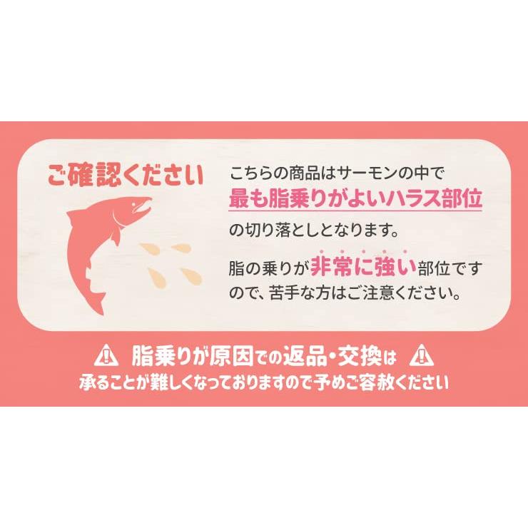 サーモン ハラス 切り落とし 刺身用 生サーモン１ｋｇ（５００ｇ×２パック）サイズ不揃い お値打ち品 トロ 生食 アトランティックサーモン 冷凍