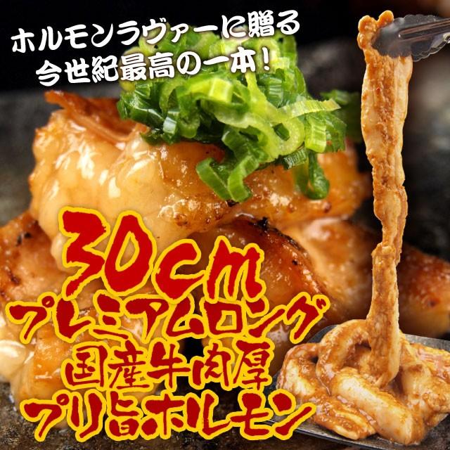 ロングカット国産牛小腸！肉厚プリ旨 味噌漬ホルモン 500g 約2-3人前 焼き肉 焼肉 BBQ