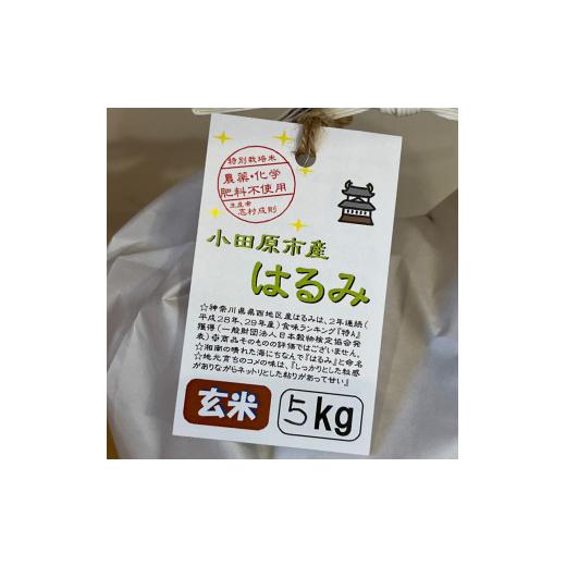 ふるさと納税 神奈川県 小田原市 志村屋米穀店 令和5年産新米小田原市産 農薬・化学肥料不使用はるみ(玄米) 5kg ＜出荷時期：10月中旬より順次出荷開始＞【玄…