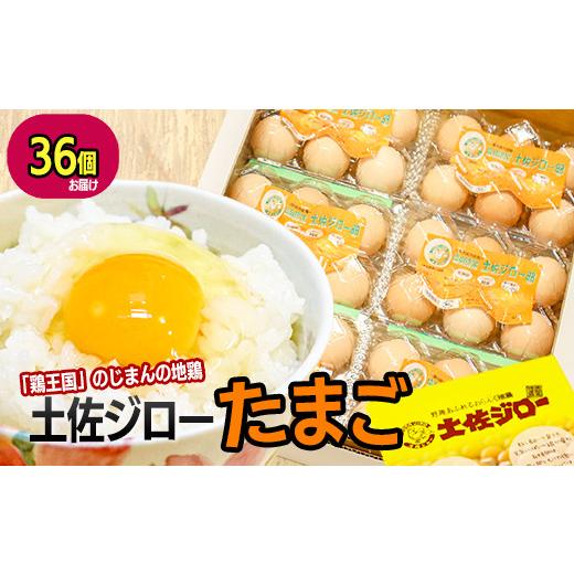 ふるさと納税 高知県 いの町 土佐ジロー濃厚たまご（1パック6個入×6パック＝36個）