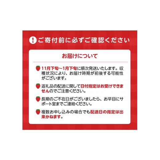 ふるさと納税 福岡県 久留米市 冬くるめあまおう約250g×2パック