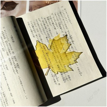 可愛楓葉書籤亞克力透光學習閱讀標記學習打卡透卡