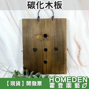【隔日到貨】碳化木板 鹿角蕨板材 鹿角蕨上板 碳化處理 蘭花 蕨類 觀葉植物上板用 掛鉤 線槽【HOMEDEN霍登園藝】