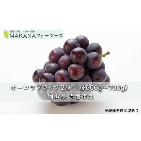 ふるさと納税 ぶどう 2024年 先行予約 オーロラ ブラック 2房（1房600g〜700g） 大粒 種無し ブドウ 葡萄  岡山県 赤磐市産  国産 フルーツ 果物.. 岡山県赤磐市