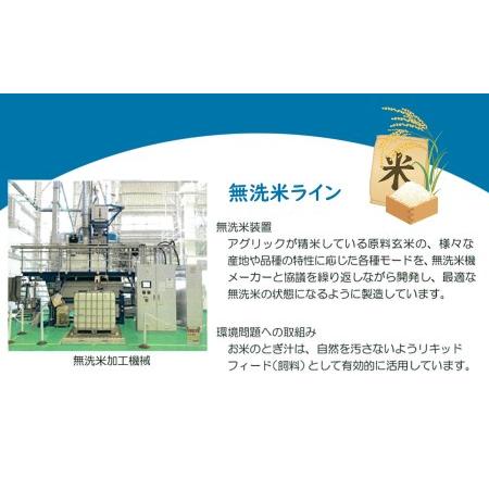 ふるさと納税  令和4年産 無洗米 南関郷のお米 「ひのひかり」10kg 熊本県産 熊本県和水町