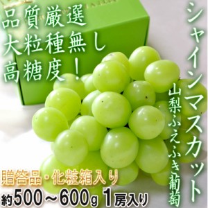 匠の葡萄 厳選シャインマスカット 種無し葡萄 約500～600g 1房入り 山梨県産 贈答規格 全国屈指の産地が誇る高級ぶどう！最高峰の味と品