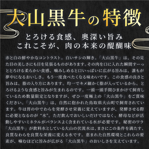 HA-02　肉質日本一の和牛「大山黒牛」切り落とし1kg