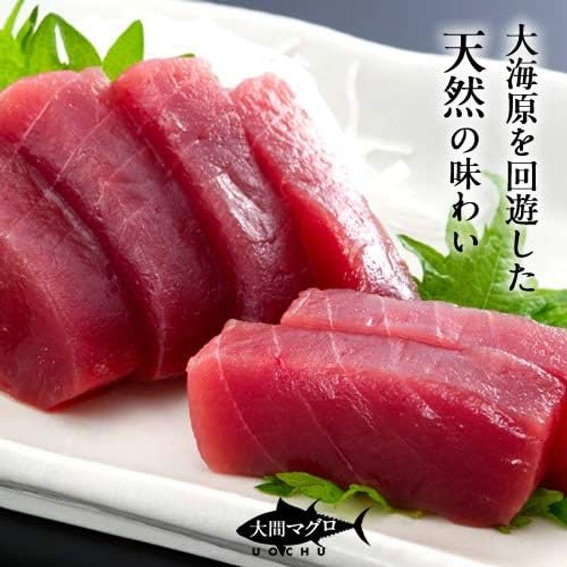 本まぐろ 大間産 マグロ［赤身］200g 大間まぐろ 黒まぐろ 生まぐろ 刺身用 大間港直送 青森県産 鮪