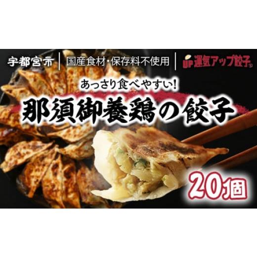 ふるさと納税 栃木県 宇都宮市 宇都宮餃子　那須御養鶏の餃子20個　保存料不使用