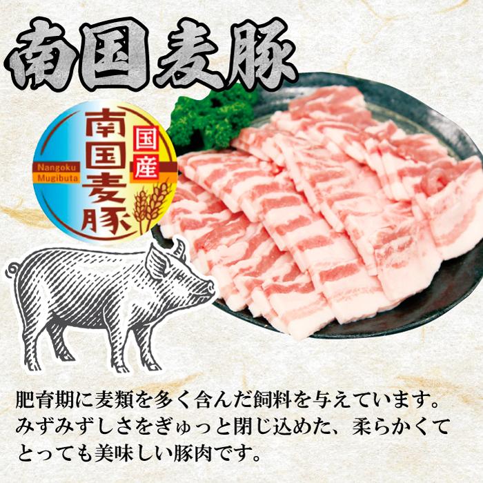 三田和牛 南国麦豚 焼肉 バーベキュー セット 1.5kg 黒毛和牛　3種類詰め合わせ 肩ロース バラ カルビ 豚カルビ 贈り物 御歳暮 御中元 送料無料