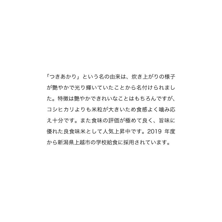 米 5kg お米 つきあかり 新米 令和5年 白米（5kg×1袋）栃木県産