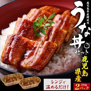 絶品！うな丼セット 250g×2パック 2人用 ごはん付き 温めるだけ レンジでチン 鹿児島県産 2人前 鰻丼 鰻重 うなぎの蒲焼 タレ 山椒付き