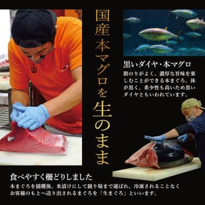 ふるさと納税 越前町 国産生本マグロ 大トロと中トロ 2種セット 合計300g