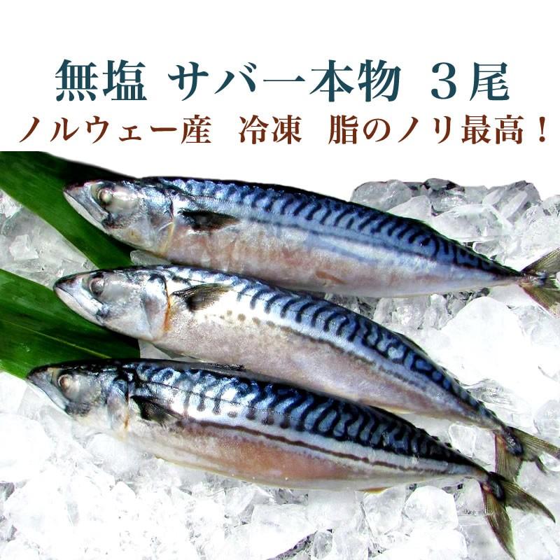 無塩 サバ一本物 3尾（ノルウェー産）冷凍さば